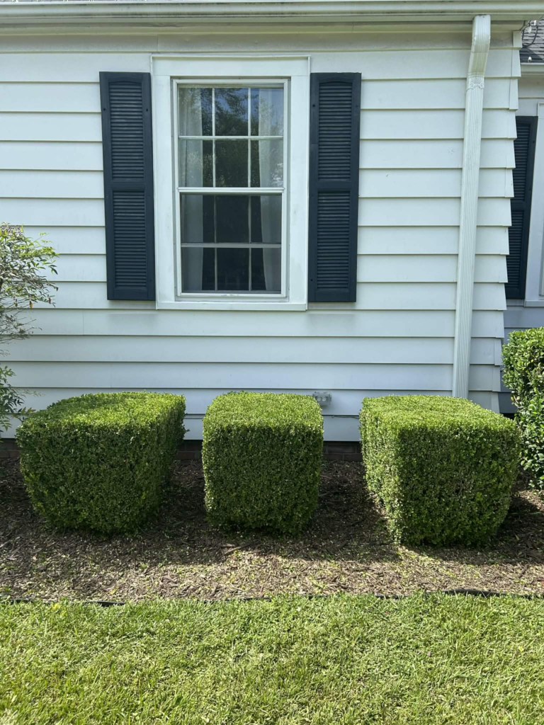 Gregory Outdoor|Gallery