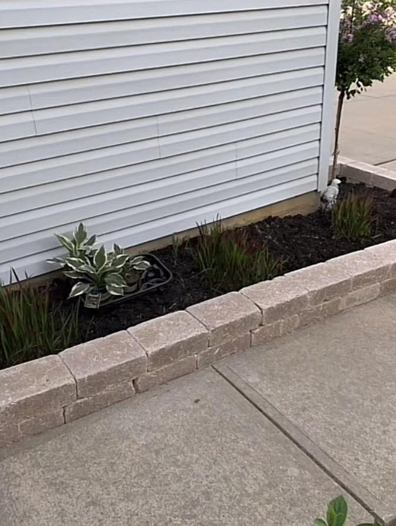 Gregory Outdoor|Gallery