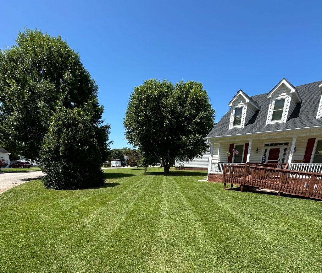 Gregory Outdoor | How to Find Landscaping Services in Cary NC for Residential Outdoor Projects