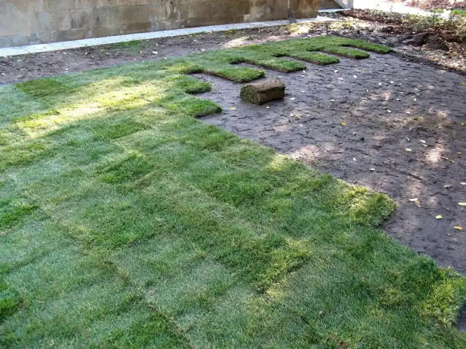 Gregory Outdoor | Benefits of Lawn Maintenance for Healthy and Consistent Lawn Care Lawn maintenance